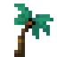 Palm Tree
